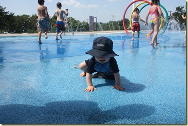 IMG_6533 IMG_6533