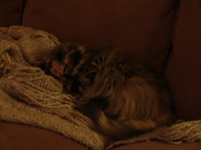DSC00168.JPG