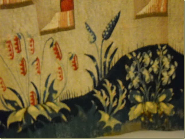 DSCN3274 DSCN3274