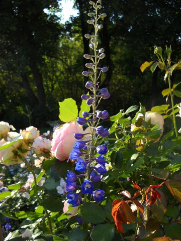 [DSCN31643.jpg]