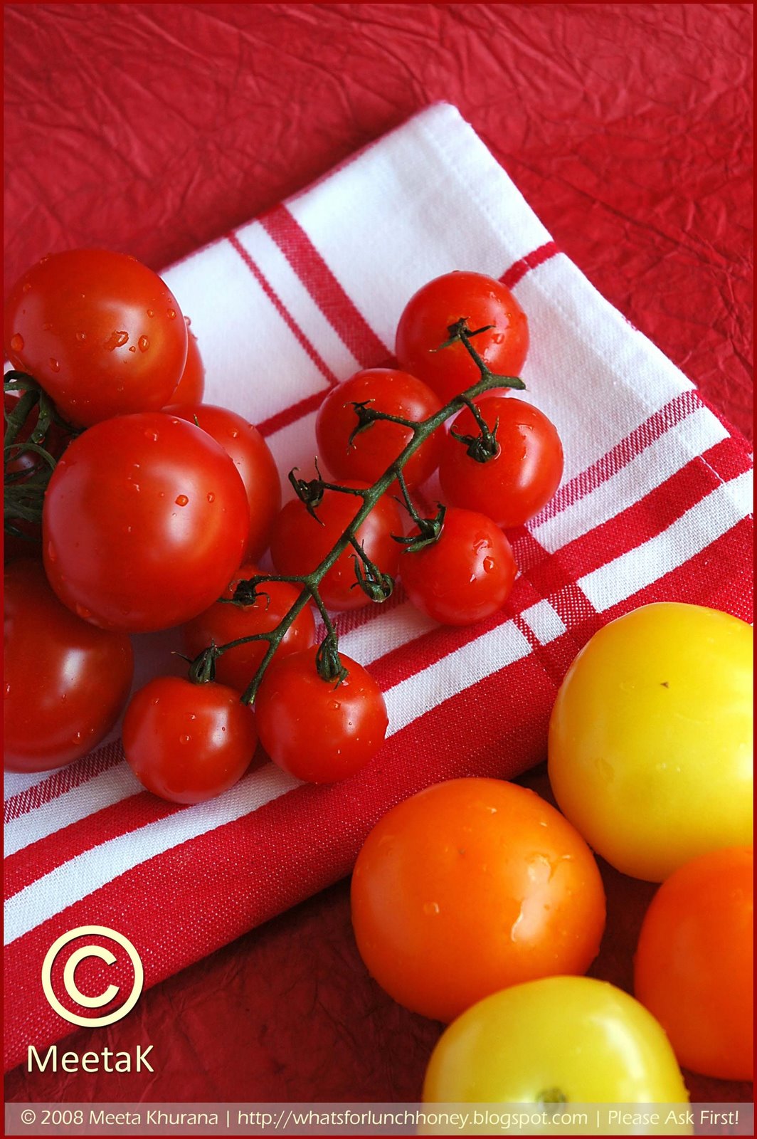 [Tomatoes 02 framed[3].jpg]
