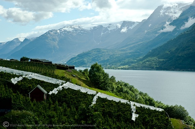 Norway_0157-CR