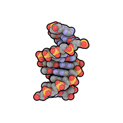 krajši odsek DNA