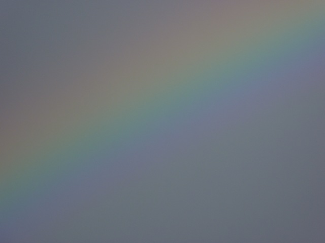 [P10005642.jpg]