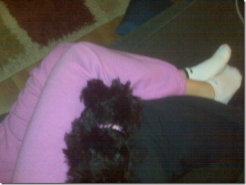 rosey-nap-2 rosey-nap-2