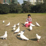 照片 061.jpg