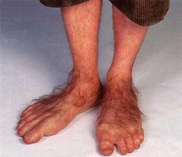 hobbit_feet