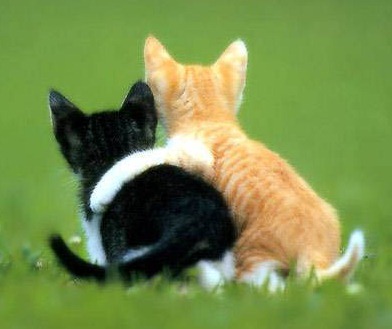 [best friends[7].jpg]