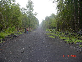 Dsc02.jpg