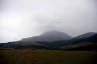 DSC_0408.JPG