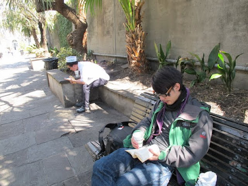 最高の昼下がり