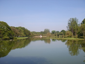 DSC09769