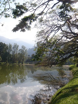 DSC09790