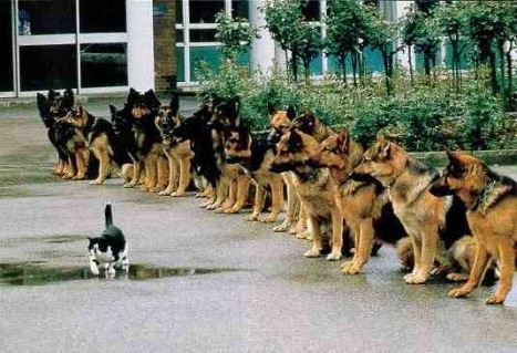 [courage[3].jpg]