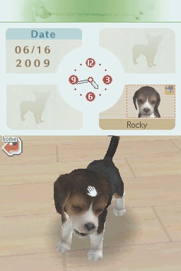 [rocky[3].jpg]