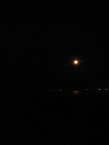 [DSC014782.jpg]