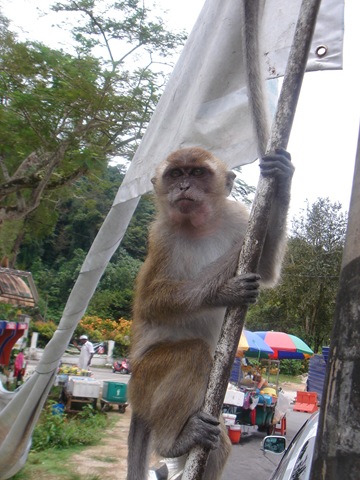 [DSC012832.jpg]
