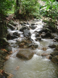 DSC01296
