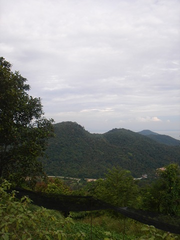 [DSC013112.jpg]