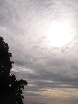 DSC01324