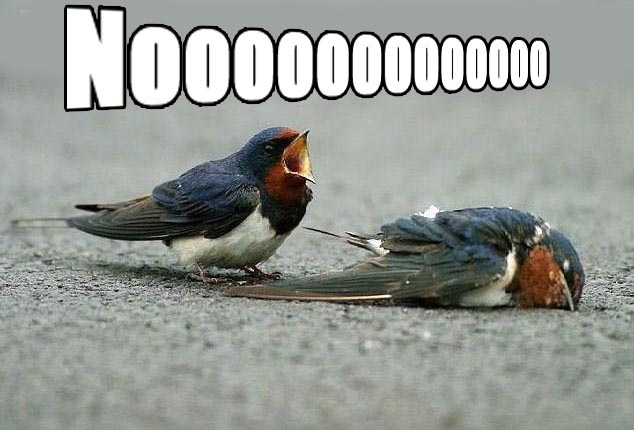 [noooo[4].jpg]