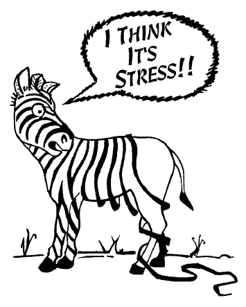 [Stress-ZebraStripes[5].gif]