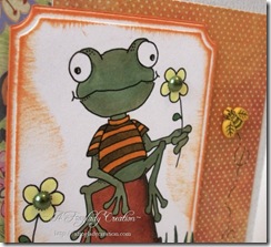 kc~PollyCraft_Frog on a Pot_Close Up