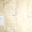 P1000305 (Medium).JPG