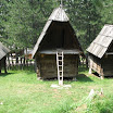 IMG_4335.jpg