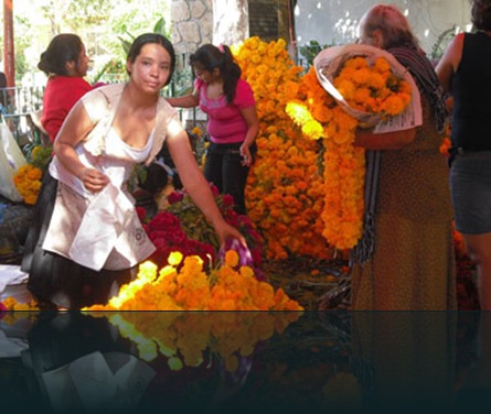 FLORES FLORES