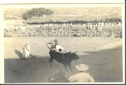 Jaripeos