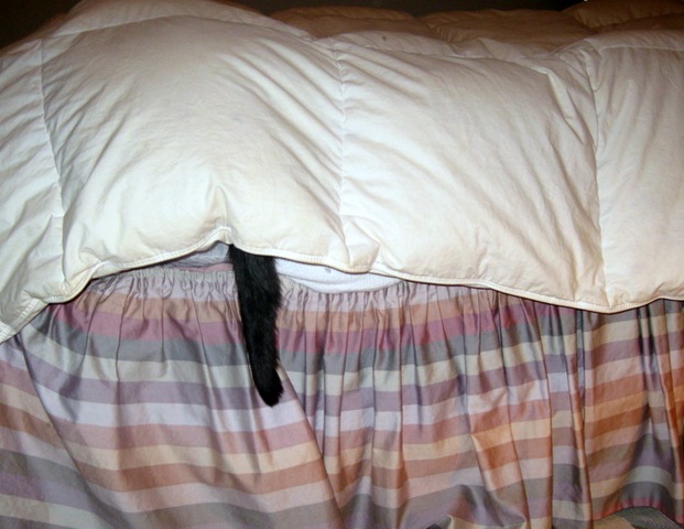 [Feb.20100143.jpg]