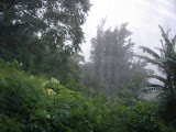 DSC00811.JPG