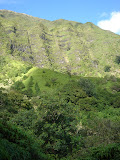 DSC00738.JPG