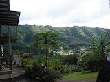 DSC00747.JPG