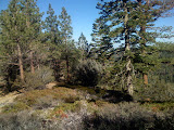 IMG_0353.JPG