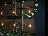 PICT0120.JPG