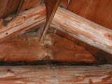 PICT0116.JPG