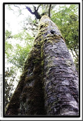 IMG_1988 IMG_1988