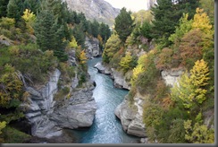 IMG_0545 IMG_0545