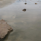IMG_9764.JPG