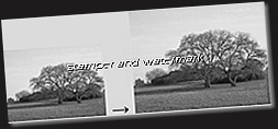 stamper and watermark