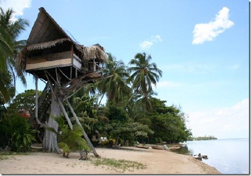 treehouse-on-the-beach