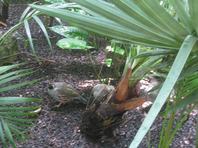 [IMG_30752.jpg]