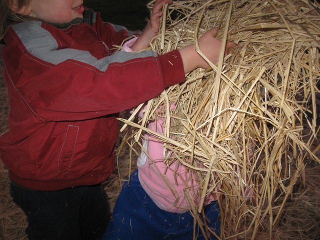 [IMG_14552.jpg]