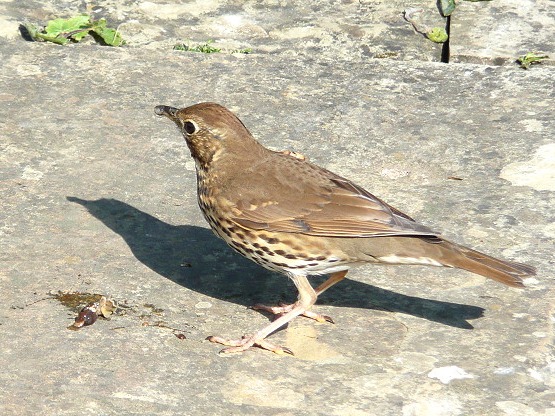 [P1400854[11].jpg]