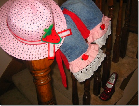 berrycostumer