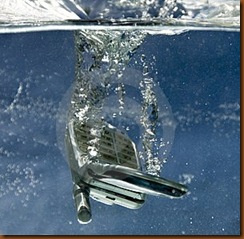 Cell phone fell water
