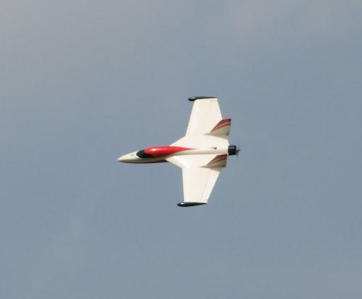 IMG_2795.JPG