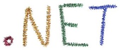 .net .net